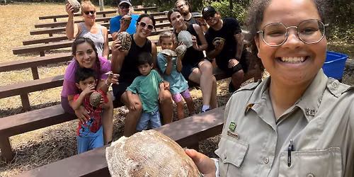 Turtle Talk
