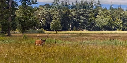 Traditionelle Hubertusfeier Bad Abbach