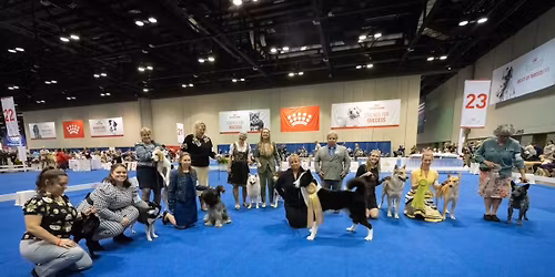 Orlando 2025 - Open Shows