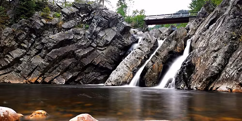 Immersion into nature - yoga retreat\u2019 (4d\/3n)