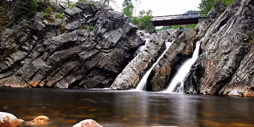 Immersion into nature - yoga retreat\u2019 (4d\/3n)
