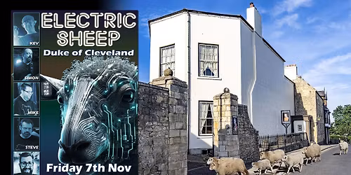 Electric Sheep @ The Duke Of Cleveland