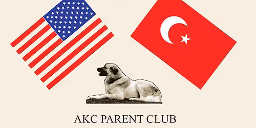 ASDCA Regional Specialty Show