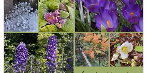 Ouverture jardin