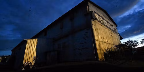 9th Annual Halloween Bat count at Sunrift