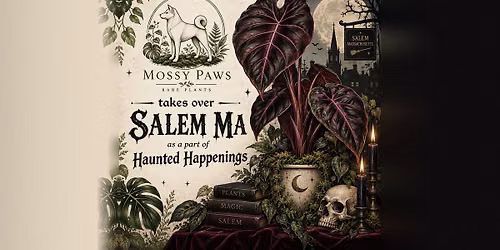 Mossy Paws Visits Salem as a Part of Haunted Happenings