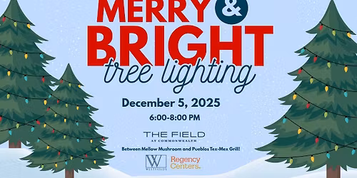 Merry and Bright: Tree Lightning