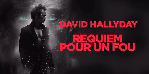 DAVID HALLYDAY \u2022 Rennes \/ Le Libert\u00e9 \u2022 09.12.26