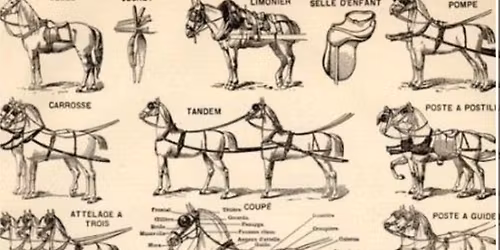 Come As You Are Horse Driving Trial 
