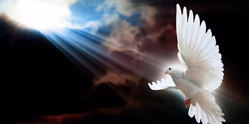 Divine Service - Ron Coey