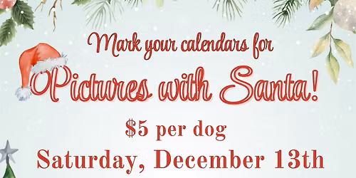 Pictures with Santa - Pooch At Play 