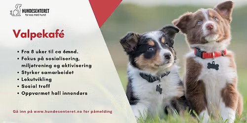 Valpekaf\u00e9 p\u00e5 kveldstid (ledige plasser)