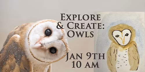 Explore & Create: Owls