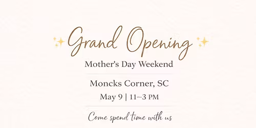 Salt & Light Collective Grand Opening \u2728