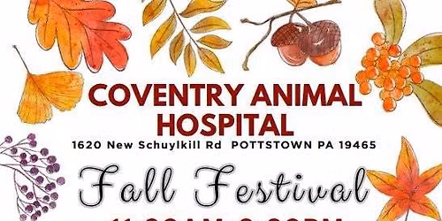 Coventry AH Fall Festival \ud83c\udf41\ud83c\udf42