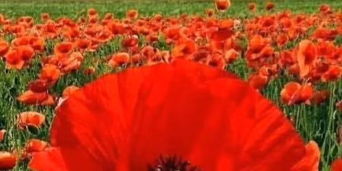 Auxiliary Monthly Meeting