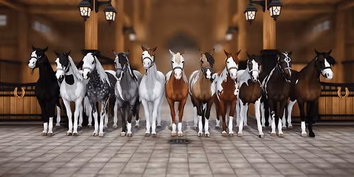 2026 TEC All-breed Horse Show - RAIN DATE