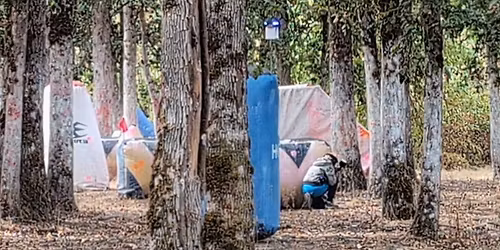 Open Play Paintball Free Entry for Veterans or Active Duty