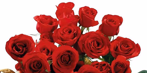 Otago Rose Society Annual Show