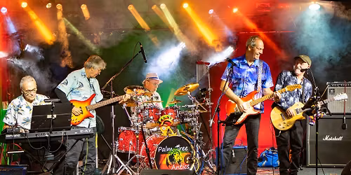 PALM TREE ANTICS Live at The Earl Haig Club Bar