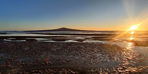 Public Meeting: Protecting Local Rock Pools and Shellfish