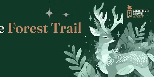 Festive Forest Trail