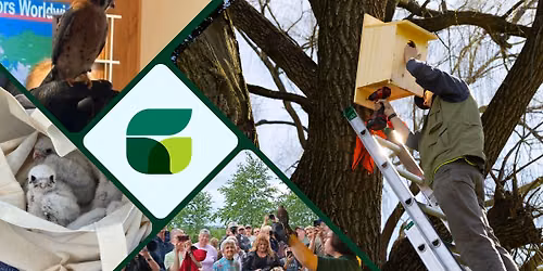 Recruiting Nature\u2019s Pest Control: Raptors, Restoration, and Stream Buffers