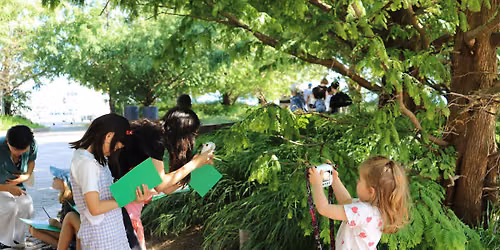 Power Kids: Picture Gardens