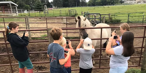 Photography, Mindfulness, & Horses for ages 7-14, June 23rd, 9:30a-1:00p, 2026