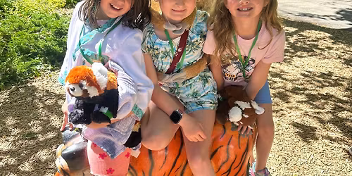 Critter College (K-1st)