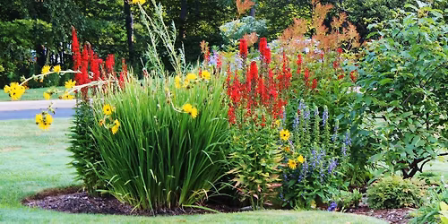 Wild Ones Columbus Annual Native Seed Swap