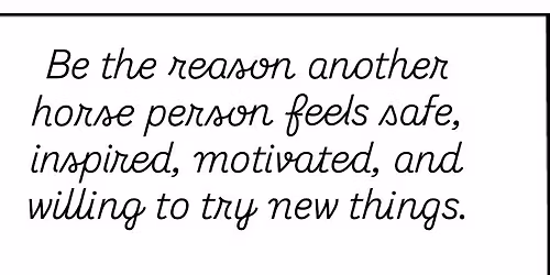 Meet the horses of Wild C!