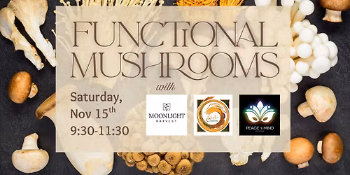 Functional Mushrooms: a Holistic Wellness Class with Lacey Suiter & Lee Ann Monat