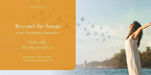 Beyond the Image: