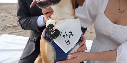 Haley and Tyler\u2019s Stag & Drag