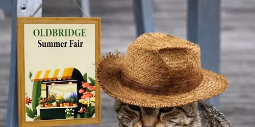 Oldbridge Summer Fair (Saturday and Sunday 13-14 June 10am to 4pm)