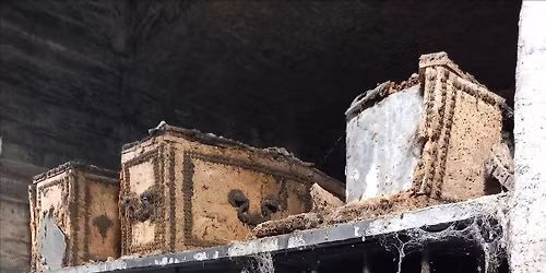 A Grave Concern: Brompton Cemetery & Underground Catacombs Guided Tour 3pm