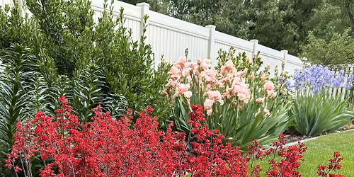 Localscapes: Creating Your Ideal Utah Yard