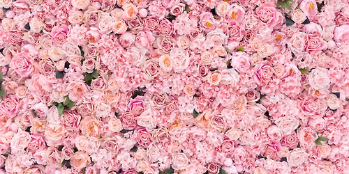 Alpha Kappa Alpha Sorority, Inc.\u00ae Omicron Mu Omega Chapter, 118th Founders' Day Celebration