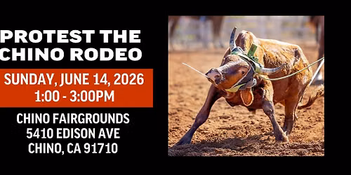 PROTEST THE CHINO RODEO - CHINO, CALIFORNIA