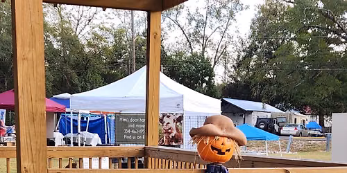 45th Annual Pumpkin Patch Craft & Vendor Show
