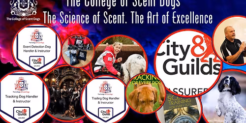 The College of Scent Dogs Workshops