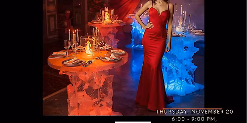 WCR Sparks & Crystal: Fire & Ice Gala \u2013   Shining a light on leadership