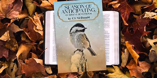 MEET THE AUTHOR \u2013 CINDY MCDONALD