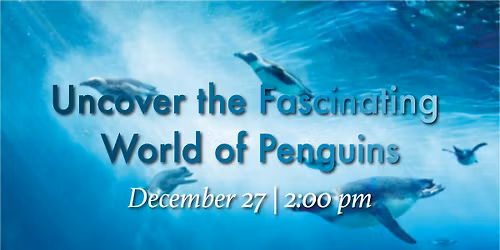 Uncover the Fascinating World of Penguins