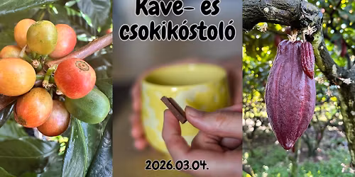 K\u00e1v\u00e9 \u00e9s csokol\u00e1d\u00e9k\u00f3stol\u00f3 a K\u00e9k Elef\u00e1ntban