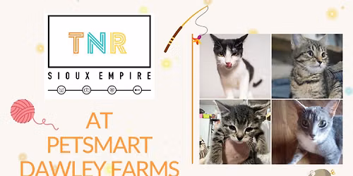 Love at First Meow: Adoption Meet & Greet