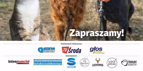Drzwi Otwarte w Schronisku w \u015arodzie Wielkopolskiej \ud83d\udc3e