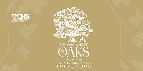 Evening Under the Oaks