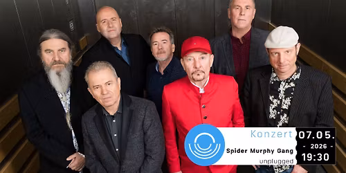 Spider Murphy Gang | unplugged
